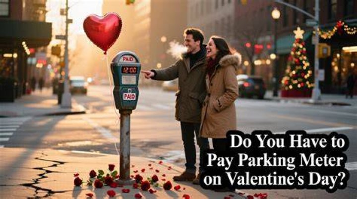 【How-to】Do you have to pay ucsd parking tickets