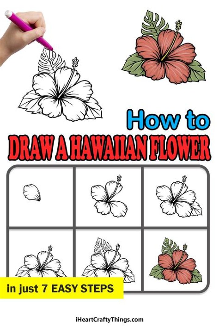 How to Draw a Hawaiian Flower in Just 7 Easy Steps