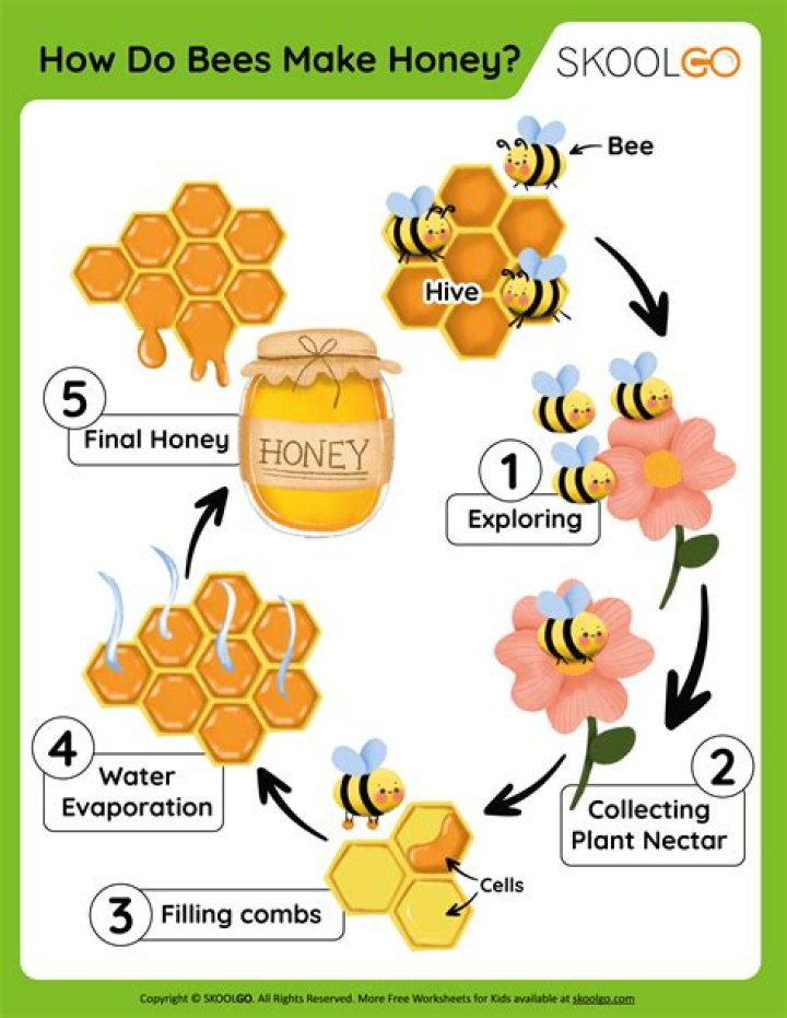 【How-to】How do you get bees out of a vent