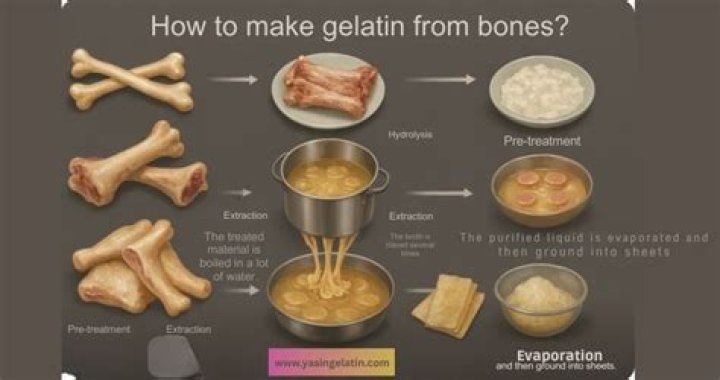 【How-to】How do you make gelatin from animal bones