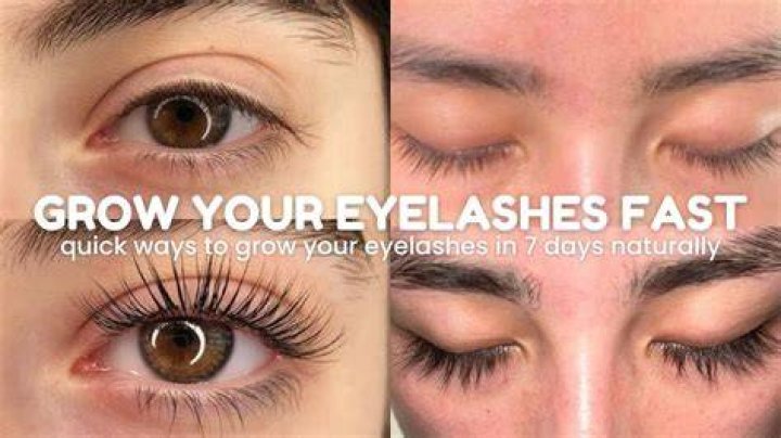 【How-to】How do you make your eyelashes grow