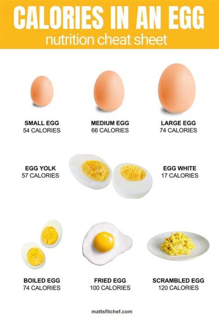 【How-to】How many calories in a modelo