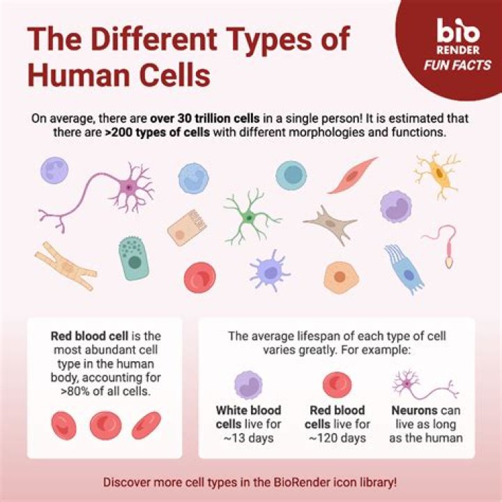 【How-to】How many cells are included in the range a1 b2