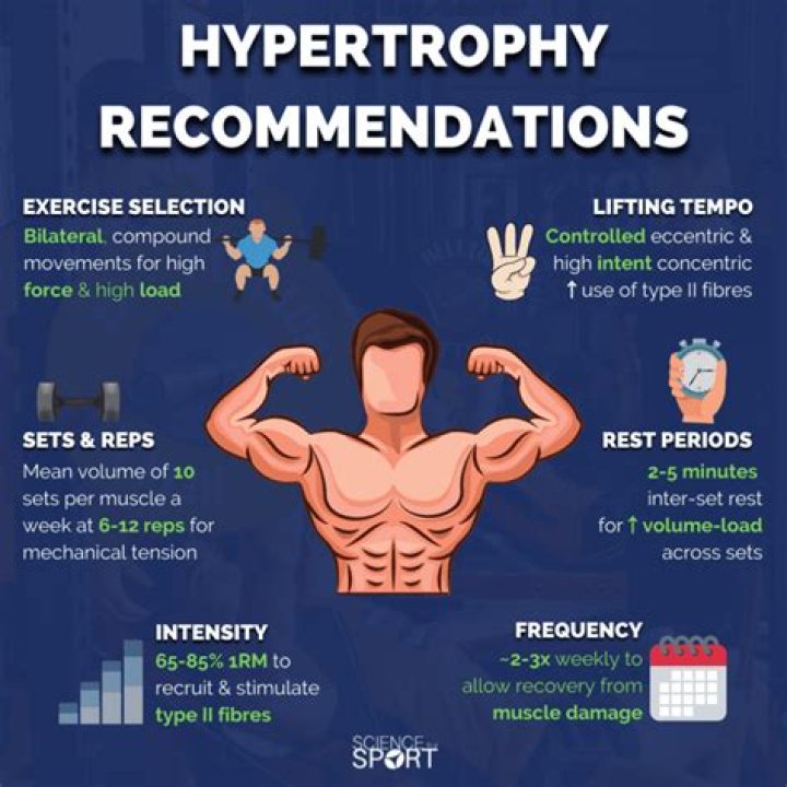 【How-to】How much rest do you need for hypertrophy