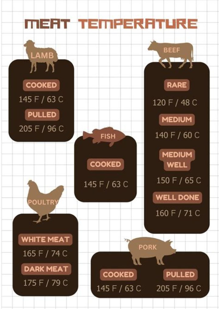 【How-to】How to Check an Internal Meat Temperature