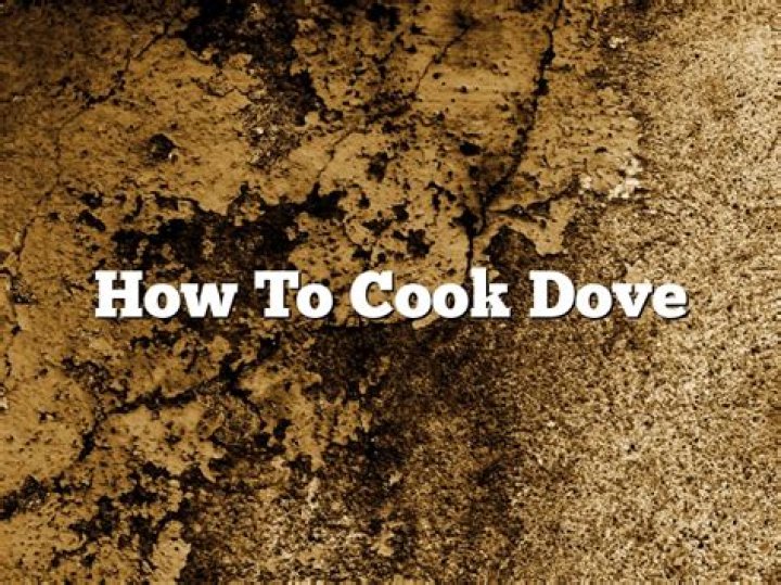 【How-to】How to cook dove - Howto.org