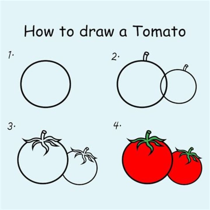 【How-to】How to draw tomato - Howto.org
