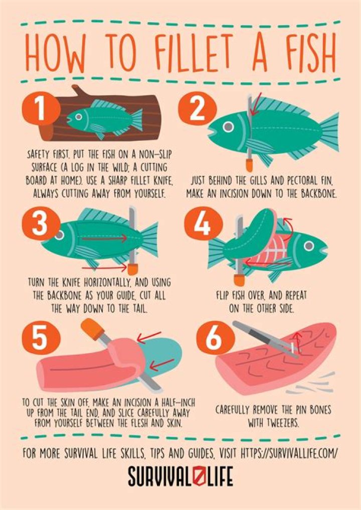 【How-to】How to Fillet a Perch