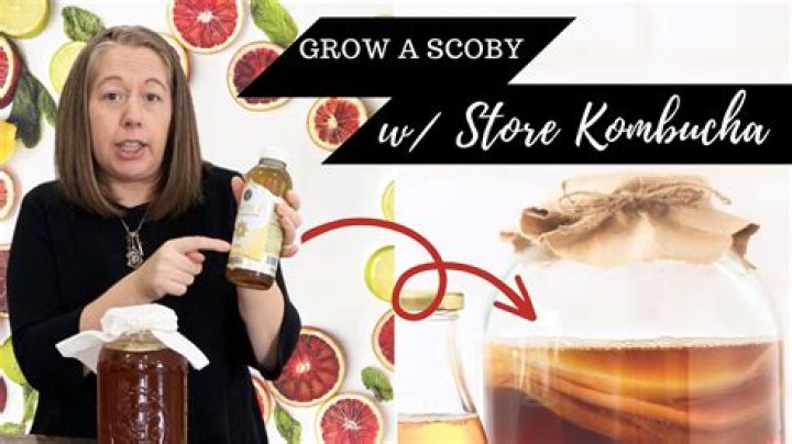 【How-to】How to grow a scoby