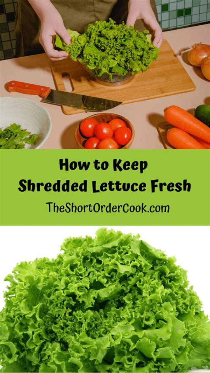 【How-to】How to Keep Salad Fresh