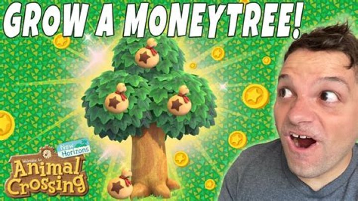 【How-to】How to plant a money tree in animal crossing