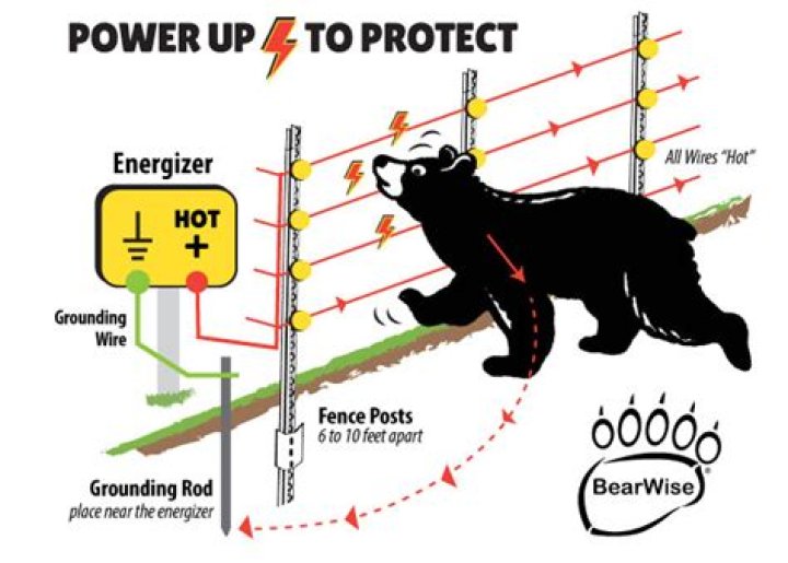 【How-to】How to Train a Dog to Use an Electric Fence
