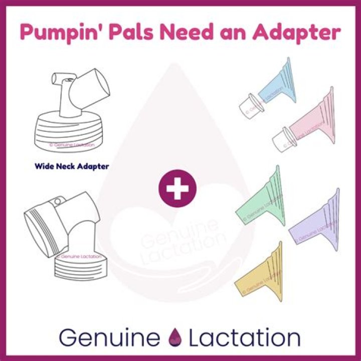 【How-to】How to use pumpin pals
