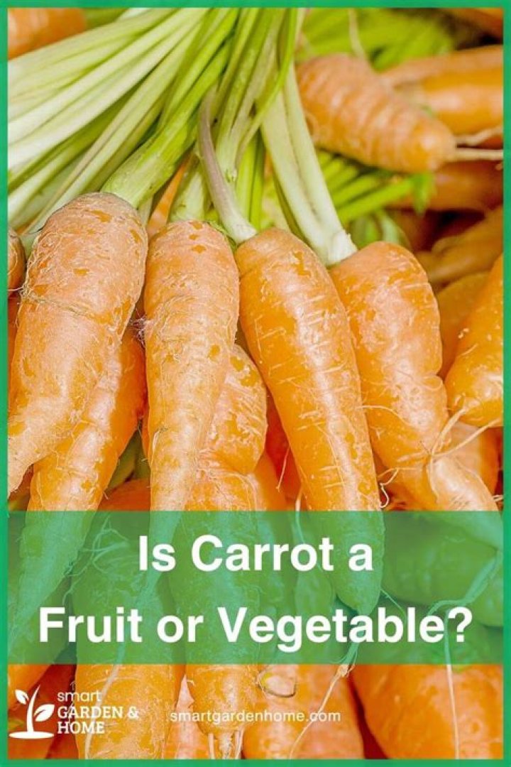 【How-to】Is carrot a fruit or vegetable