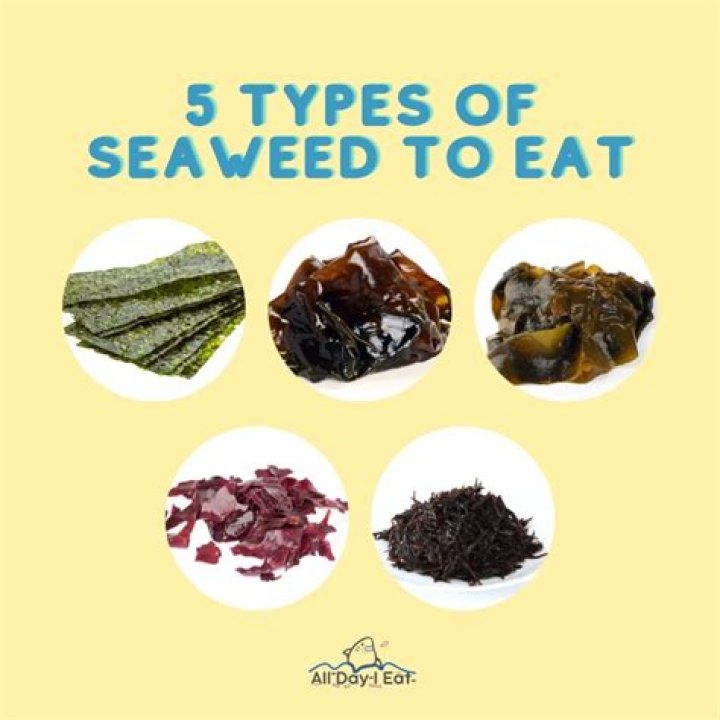 【How-to】Is it ok to eat expired seaweed