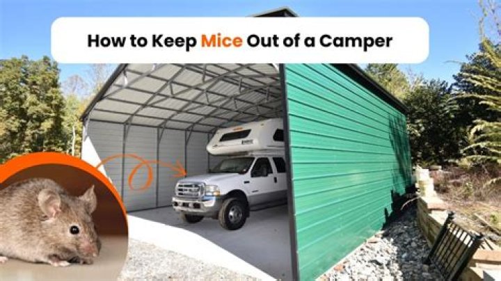 How to Keep Mice Out of Camper: Ultimate Guide