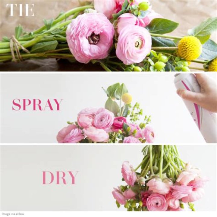 【How-to】Should you spray dried flowers with hairspray
