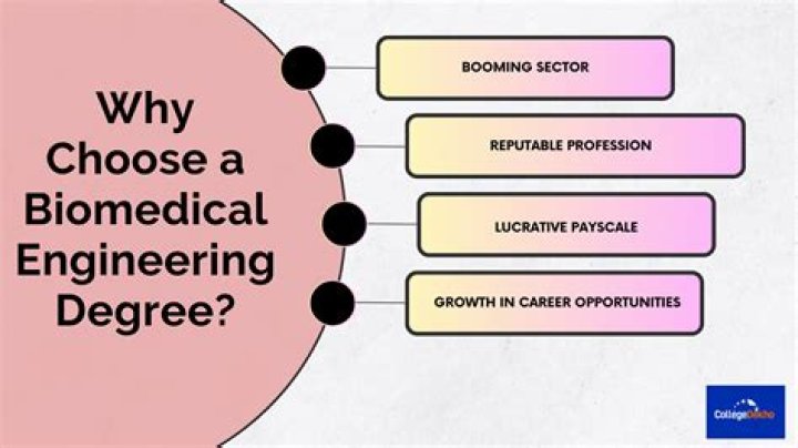 【How-to】What can you do with a biomedical engineering degree