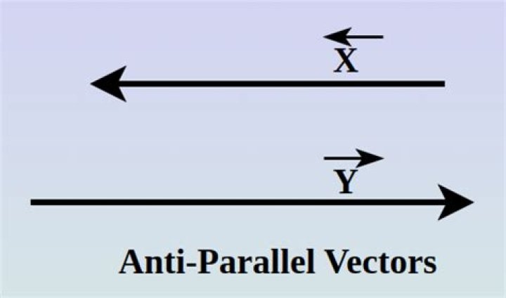 【How-to】What does antiparallel mean - Howto.org
