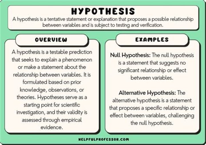 【How-to】What does hypothetical example mean