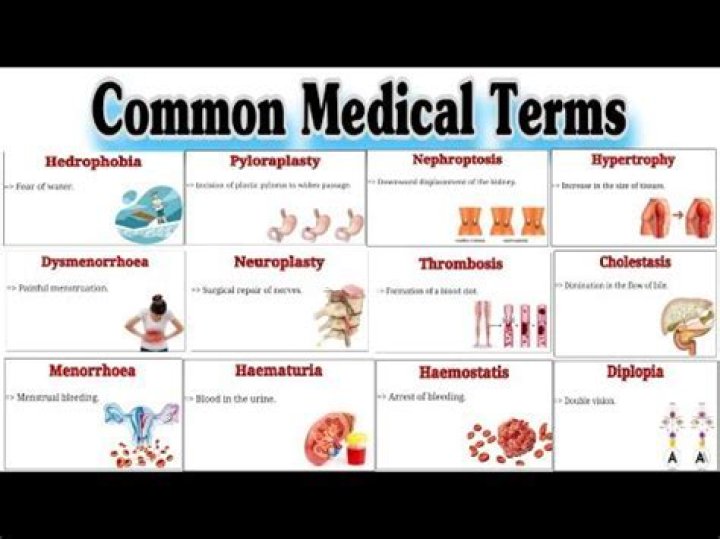 【How-to】What does orrhagia mean in medical terms