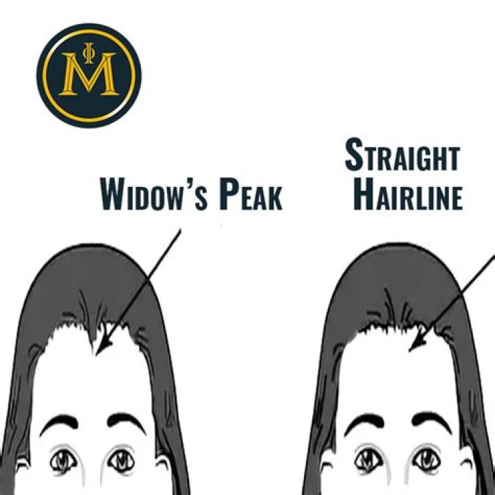 【How-to】What is a widow s mite worth
