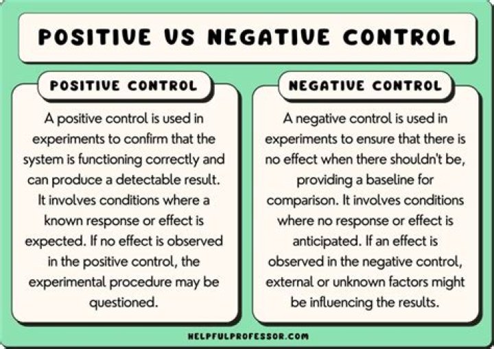 【How-to】What is the importance of a positive control what is the importance of a negative control