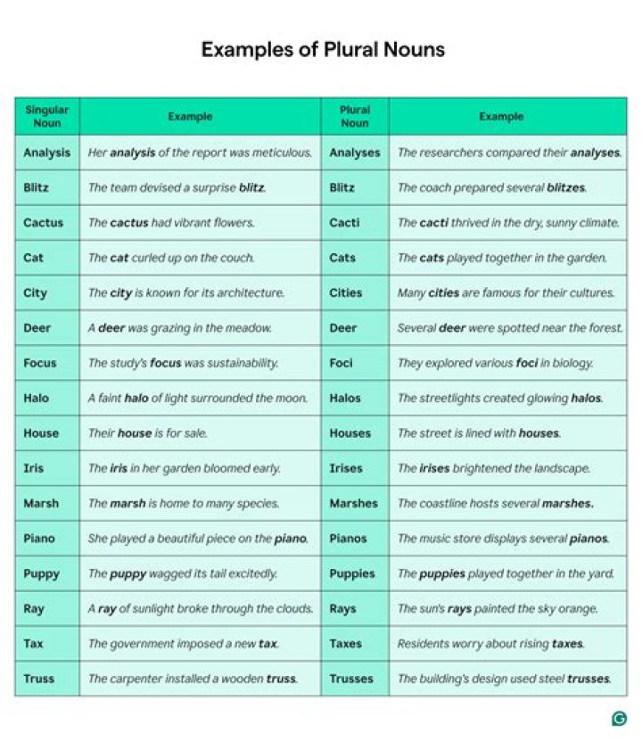 【How-to】What is the plural form of hypothesis