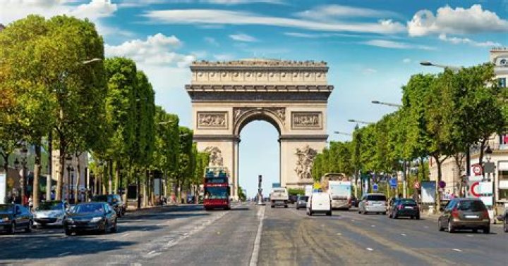 【How-to】What kind of trees line the champs elysees