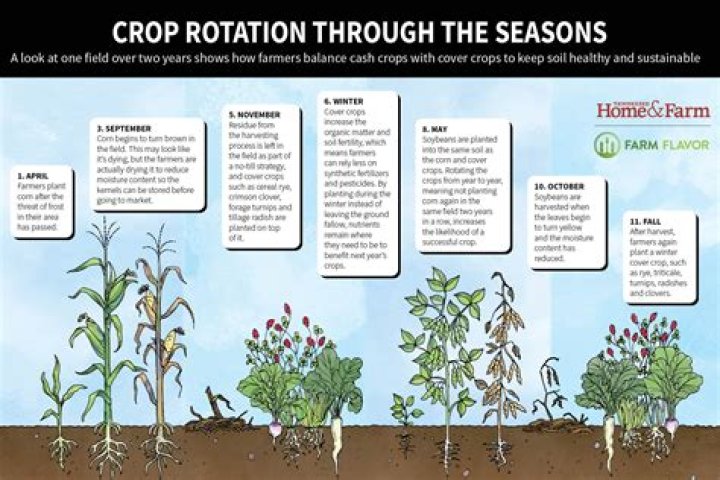 【How-to】What month do farmers plant their crops