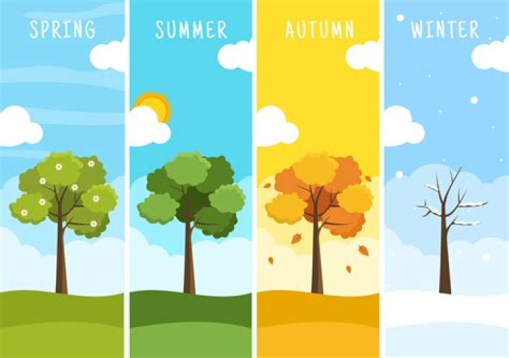 【How-to】What season is cepheus visible