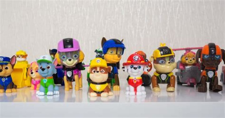 【How-to】What type of dogs are the paw patrol