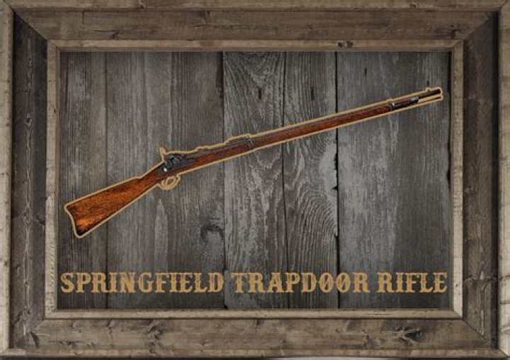 【How-to】What year was the trapdoor springfield made