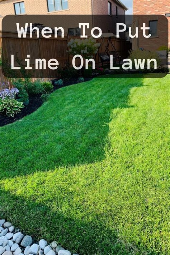 【How-to】When to use lime on lawn