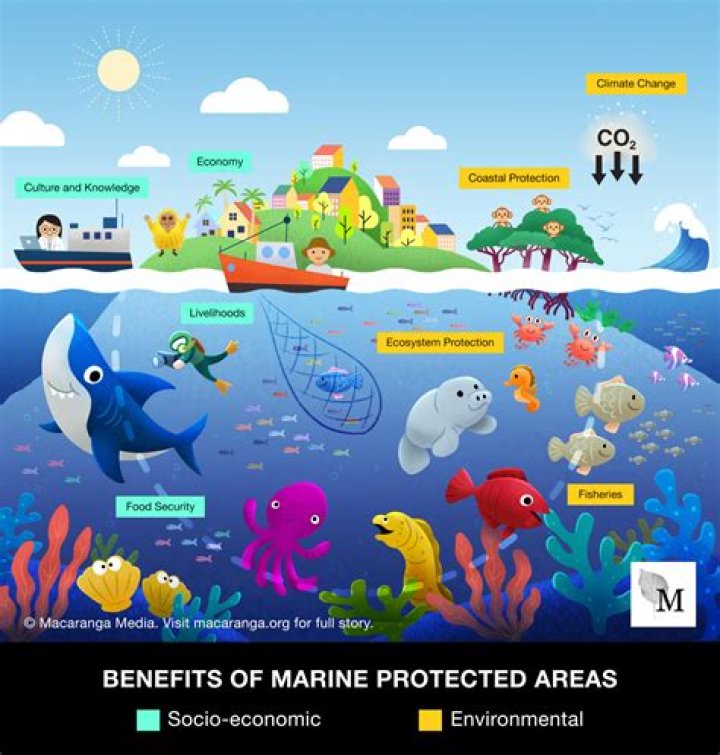 【How-to】Why do marine layers form