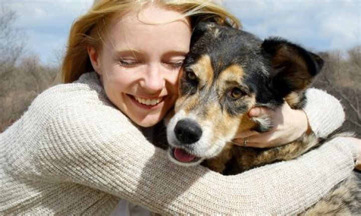 Is adopting an animal free?
