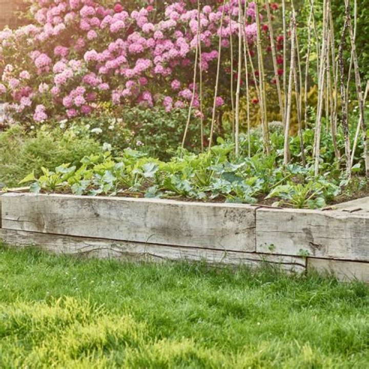 Is cardboard safe to use in garden?