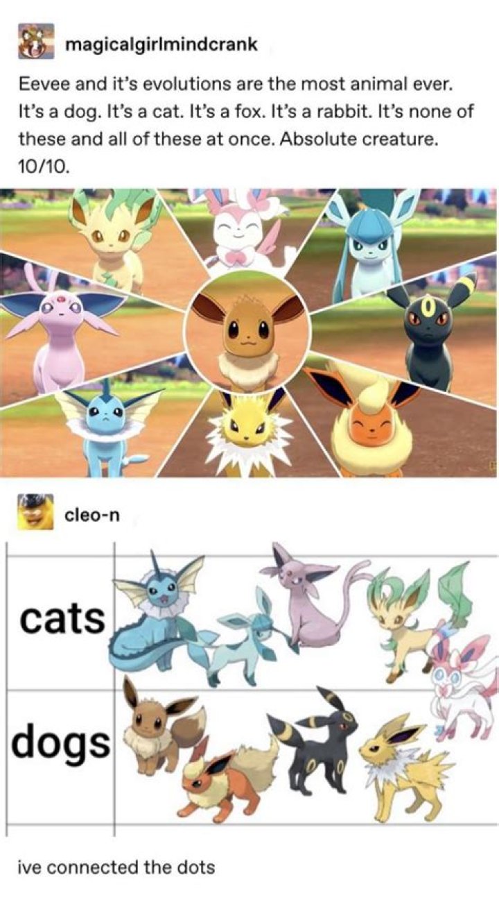 Is Eevee a dog cat or fox?