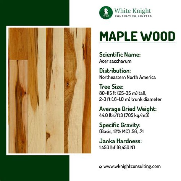 Is Maple expensive wood?