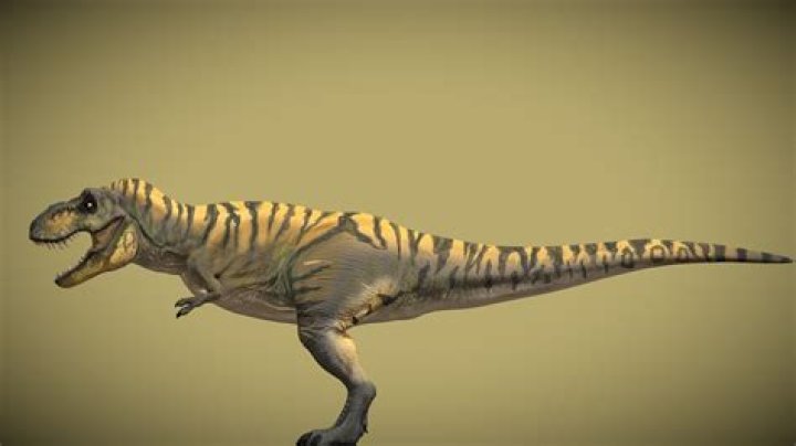 Is Megaraptor a Tyrannosaurus?