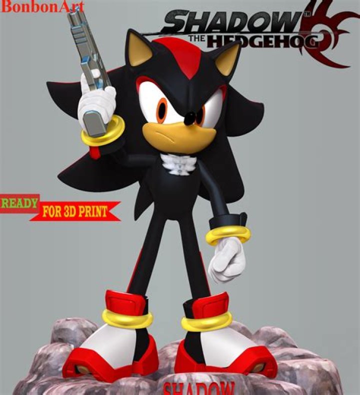 Is Shadow and Sonic enemies?