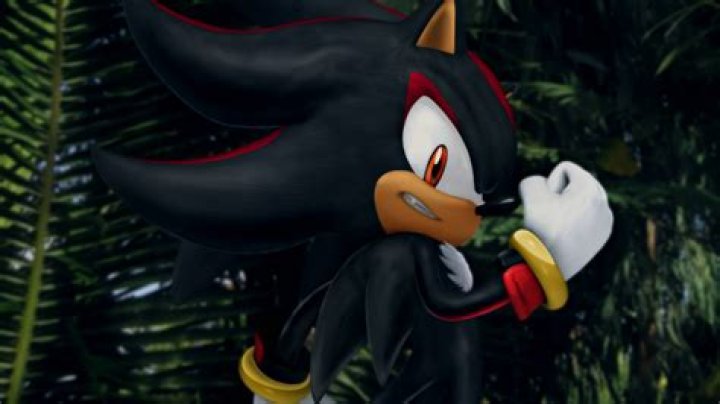 Is Shadow the Hedgehog in Super Smash Bros Brawl?
