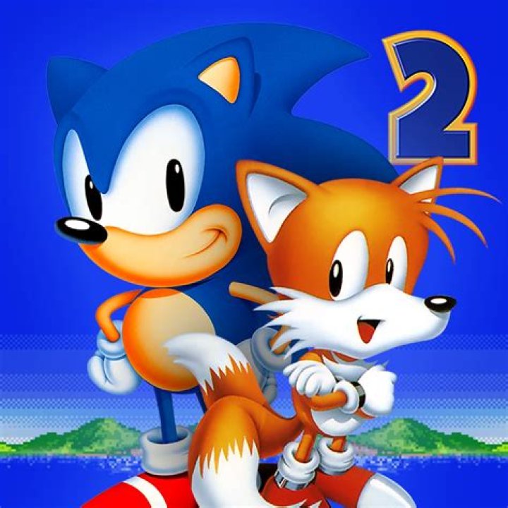 Is Sonic the Hedgehog 2 player?