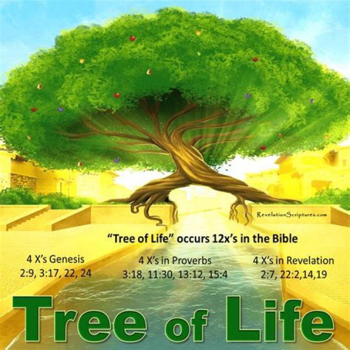 Is there a plant called the Tree of Life?