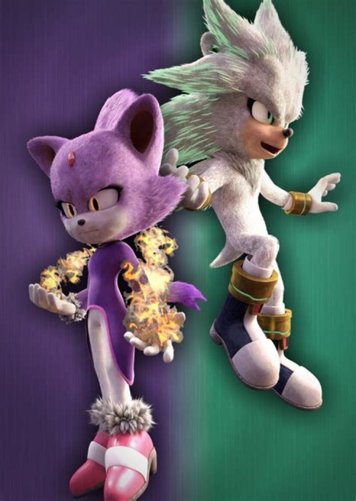 Is there a silver Hedgehog in Sonic the Hedgehog?
