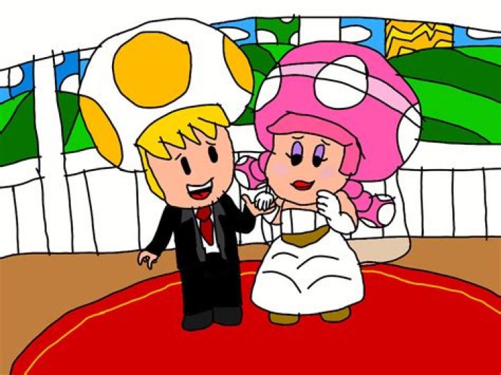 Is Toadette and Toad married?