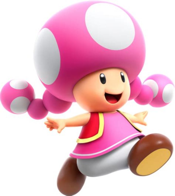 Is Toadette the only female toad?