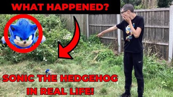 Is Werehog Sonic real?