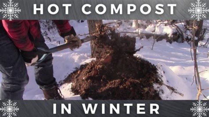 Should I cover compost in winter?