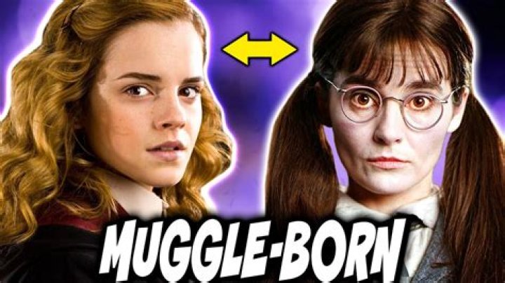 Was Lily Potter a Muggle?